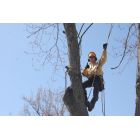 Jerry's Tree Service