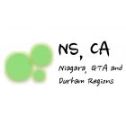 NS Chartered Accountant