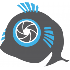 Polar Fish Photography