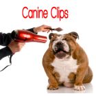 Canine Clips