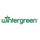 Wintergreen