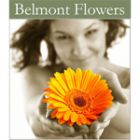 Belmont Flower Market