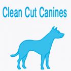 Clean Cut Canines