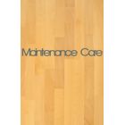 Maintenance Care