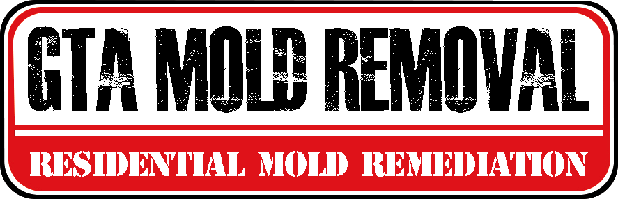 GTA Mold Removal Mississauga