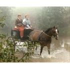 equerry consulting