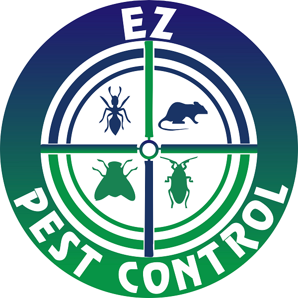 EZ Pest Control Ottawa - Wasp Nest Removal 