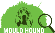 Mould Hound