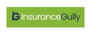 Insurance Gully